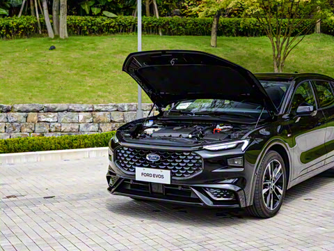 2022�� EcoBoost 245 ST-Line