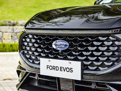 2022�� EcoBoost 245 ST-Line