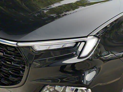 2021�� EcoBoost 225 ������ 6��