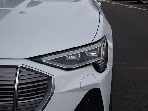 2021�� Sportback 55 quattro ��ѡ��