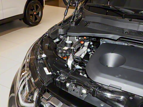 2021�� P300e ���ܿƼ���