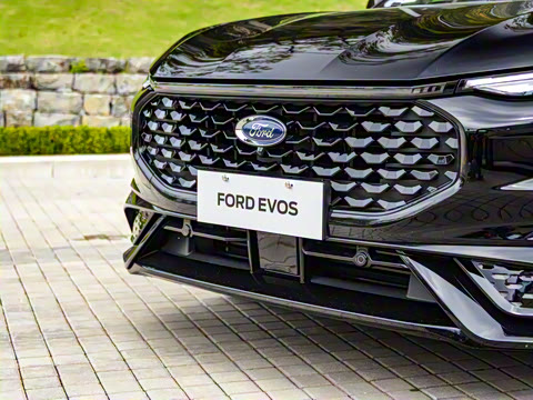 2022�� EcoBoost 245 ST-Line
