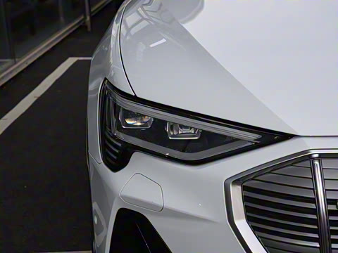 2021�� Sportback 55 quattro ��ѡ��