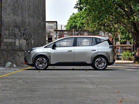 2021�� 80 �����Ƽ���