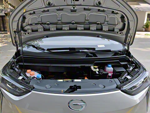 2021�� 80 �����Ƽ���