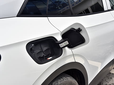 2021�� ������PURE+������