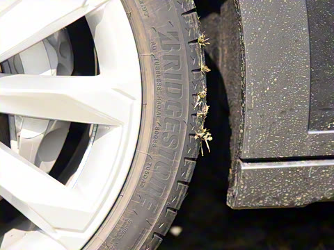 2022�� allroad quattro ̽���� 55 TFSI ����ԽҰ��