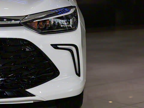 2021�� 1.5L �ֶ�����