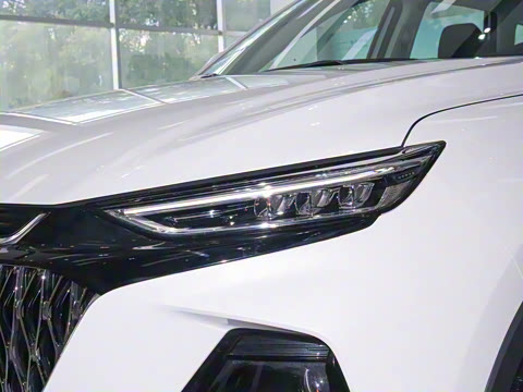 2022�� 1.5T �������Զ������