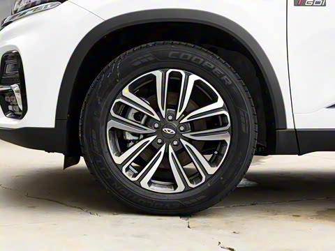 2021�� ������ 390TGDI �Զ���ҡ��