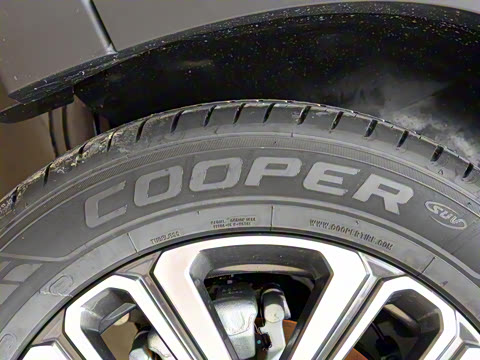 2021�� ������ 390TGDI �Զ���ҡ��