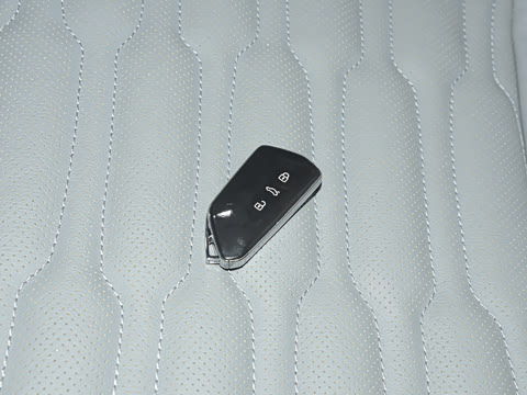 2021�� ;��X 330TSI ������������