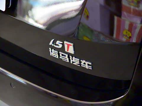 2016�� 1.5T �Զ��ʡ����� 7��