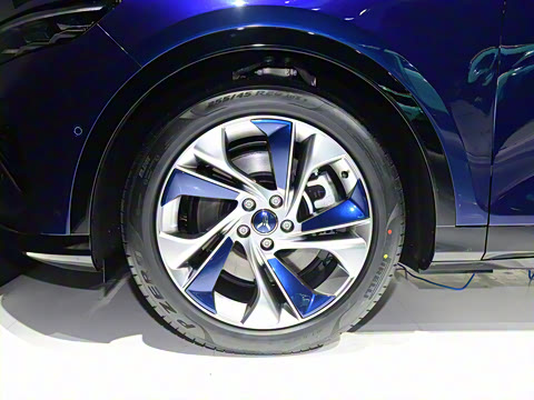 2021�� ���������׷������ר��������װ