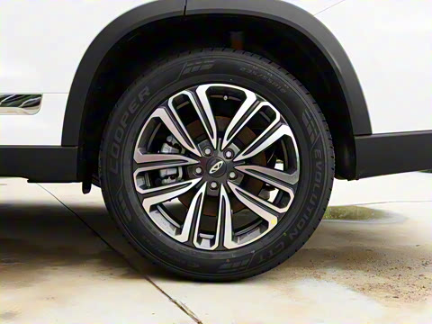 2021�� ������ 390TGDI �Զ���ҡ��