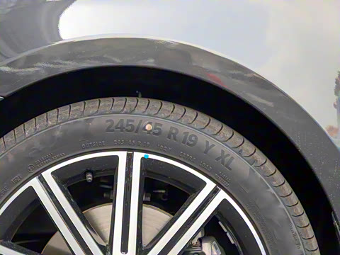 2021�� V 260 L ����������