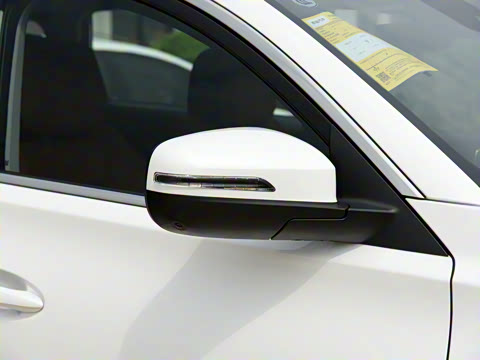 2021�� ������ 390TGDI �Զ���ҡ��