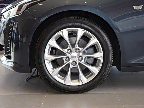 2021�� �Ŀ� 28T ������