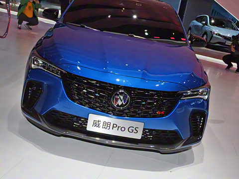 2022�� Pro GS �����