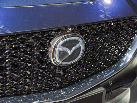 2021�� ����������