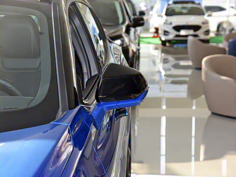 2022�� EcoBoost 245 ST-Line