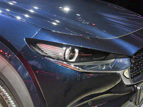 2021�� ����������