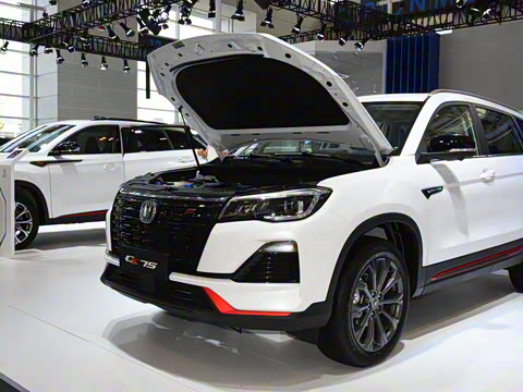 2022�� ������ 1.5T DCT�����