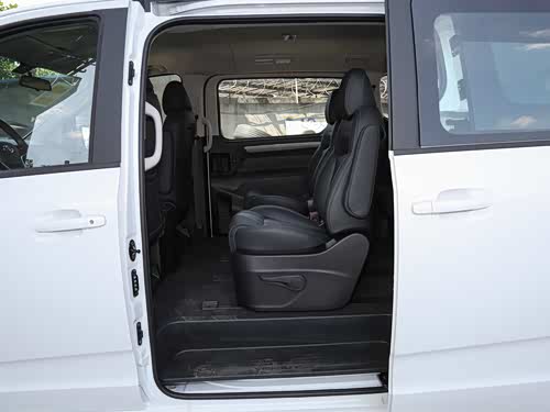 【图】大通g10 2022款 2.