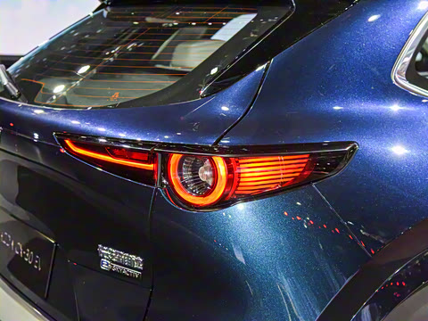 2021�� ����������