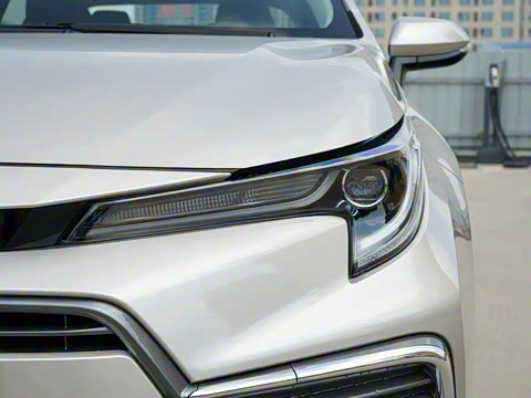 2021�� 2.0L ������