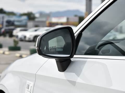 2018�� 30�������� Limousine 35 TFSI ��ȡ��