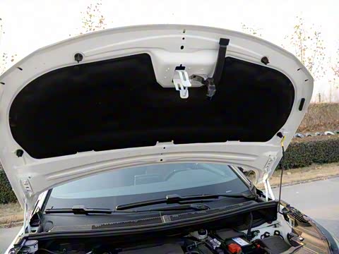 2017�� 380THP ����GT��