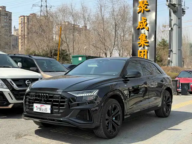 Audi Q8 2019 55 TFSI