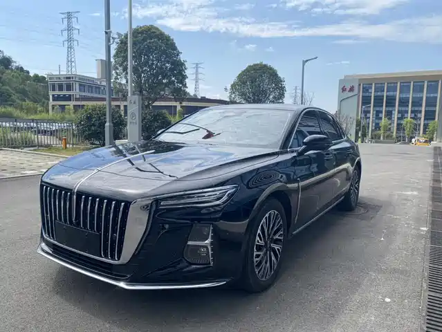 Hongqi H5 2023 2.0 T AT