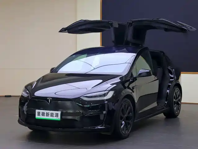 Tesla Model 2023