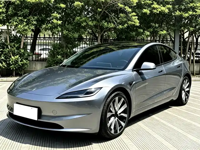 Tesla Model 3 2025