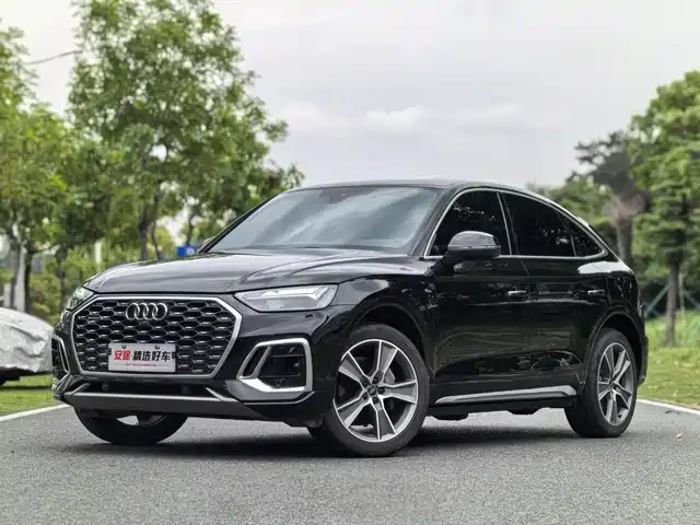 Audi Q5L Sportback 2022 40 TFSI Luxury