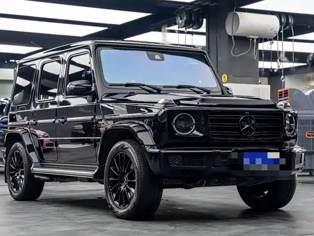 Mercedes-Benz G-Class 2024 G 450 d