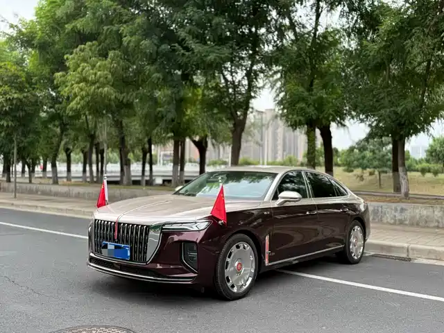Hongqi H 9 2025 2.0 T 2 WD 5