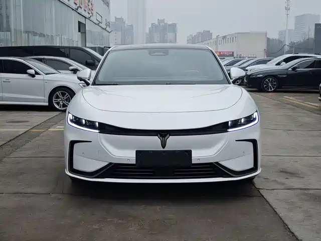 Voyah Passion
