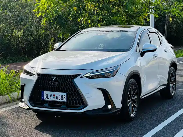Lexus NX 2024 260