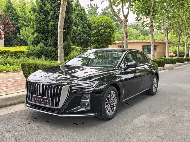 Hongqi H5 2024 1.5 T DCT