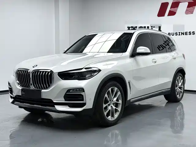 BMW X 5 2019 x Drive 30i X