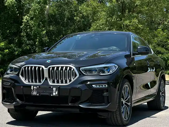BMW X6 2021 x Drive 40i M
