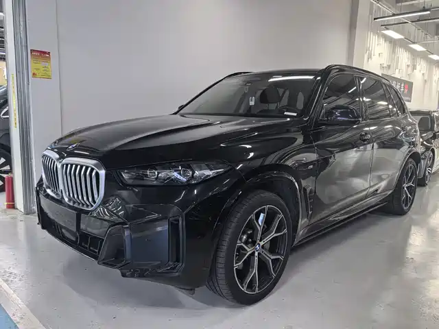 BMW X 5 2025 x Drive 30 Li M
