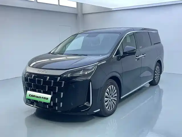 BYD M 9 2025 1060