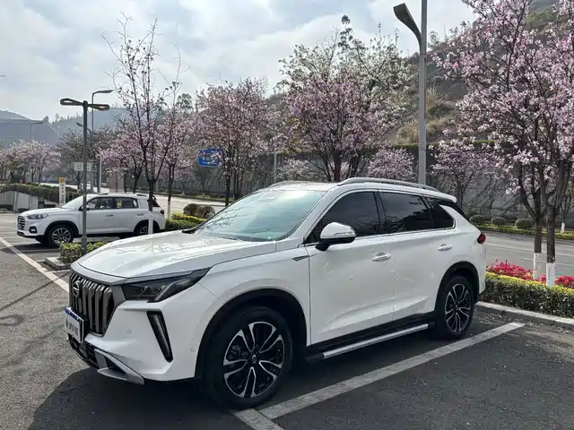 Trumpchi GS4 PLUS 2023 390 T AT