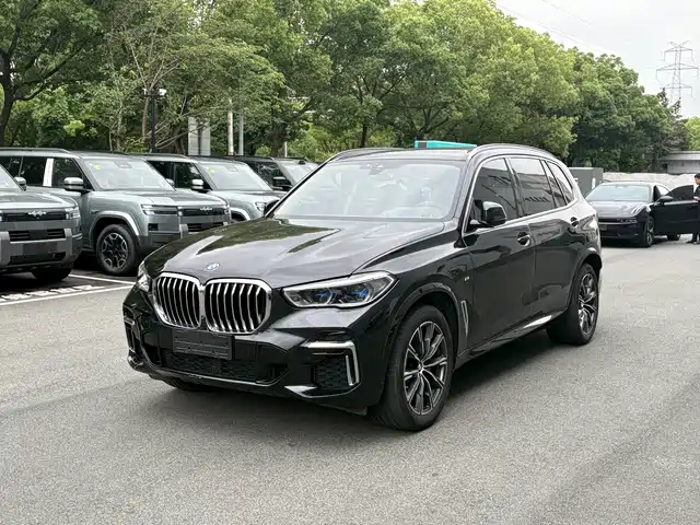 BMW X 5 2022 x Drive 30 Li M