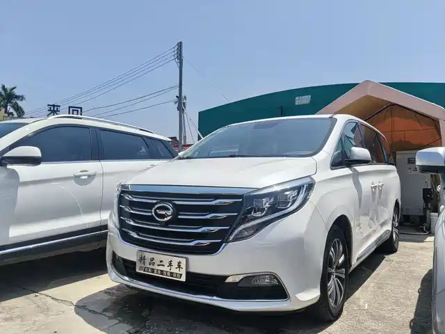 Trumpchi M8 2018 320 T