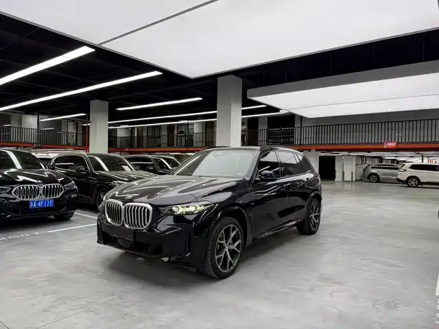 BMW X 5 2023 x Drive 30 Li M